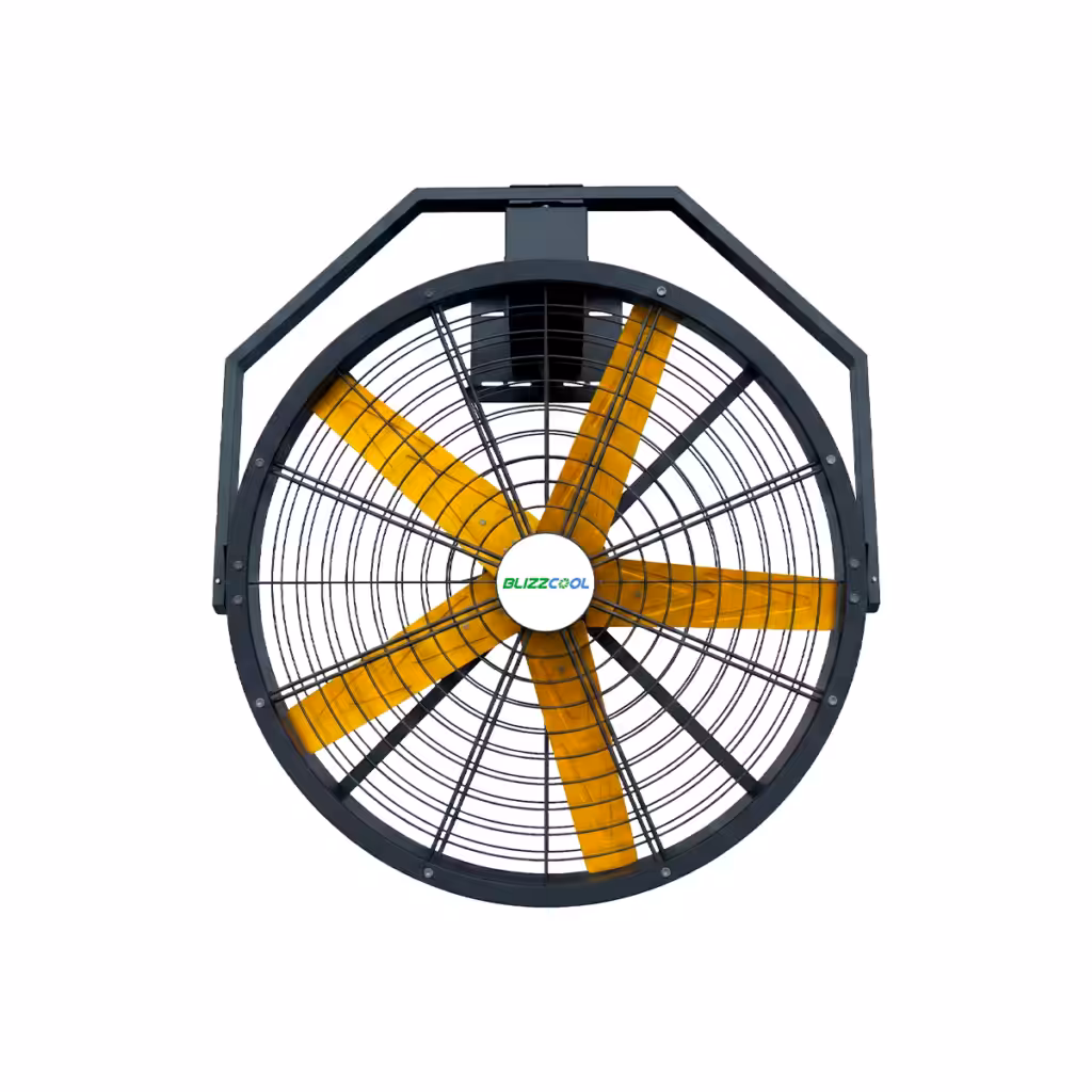 Ventilador Industrial Pared BP900